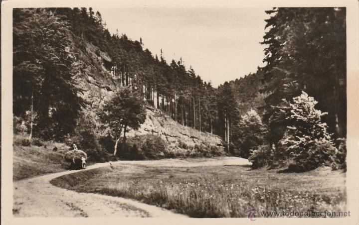 Postkarten: N&ordm; 24957 POSTAL ALEMANIA