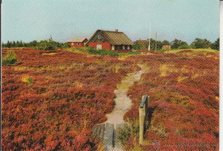 Postkarten: N&ordm; 24186 POSTAL DINAMARCA PARTI FRA ROMO