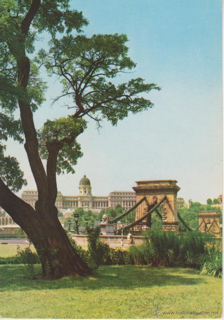 Postales: BUDAPEST (HUNGRIA). BUDA CHAIN BRIDGE - Foto 1
