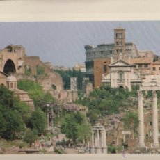 Postales: ROMA, FORO ROMANO EDIZIONE REGOLI ( FOTO POSTAL 30X24 CM.... ) AÑOS 70