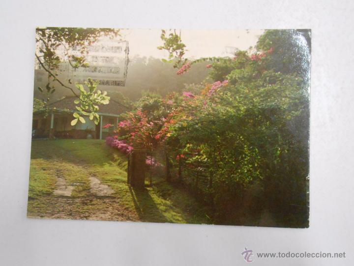 Cartes Postales: POSTAL MARTINIQUE TROILS ILETS. LA PAGERIE. CREPUSCULE SU LER FLEURS. TDKP3