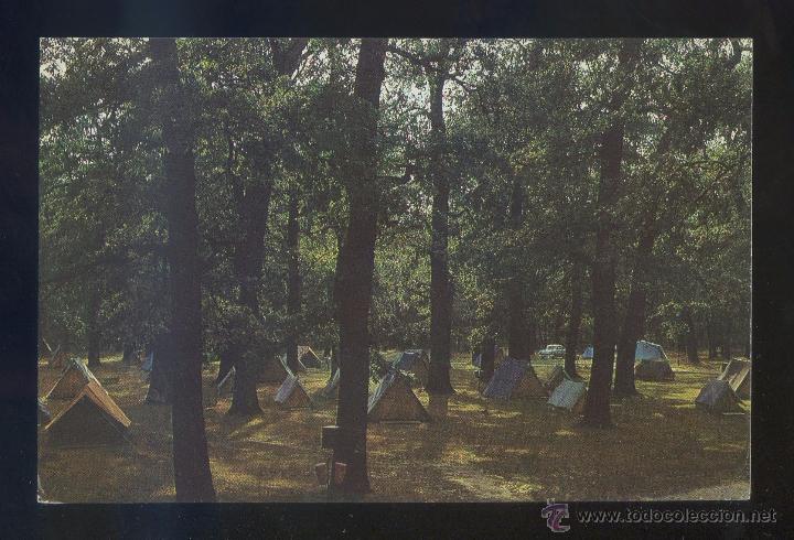 Cartes Postales: Rumania. Sibiu. *Camping la Dumbrava* Foto: Gh. Voicu. Ed. Meridiane. Escrita.