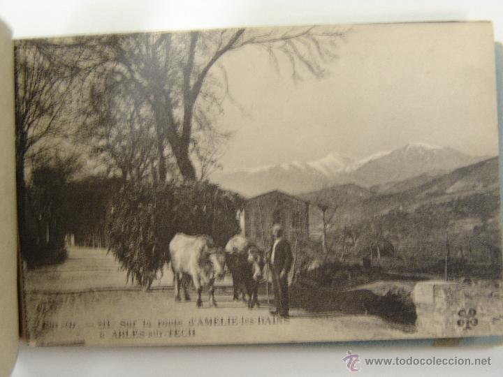 Postales: BLOQUE LIBRITO AMELIE-LES-BAINS 12 POSTALES - Foto 6