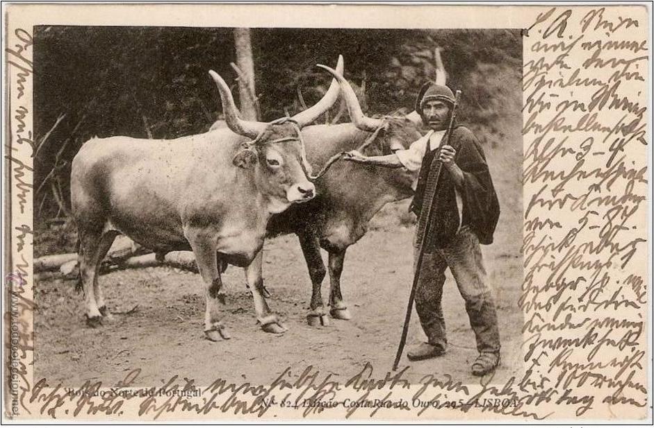 Postales: Portugal ROIS DO NORTE DE PORTUGAL 1905