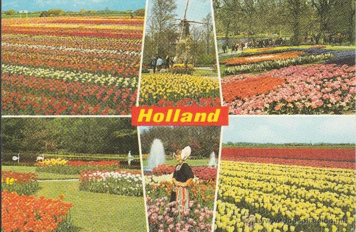 Postales: N&ordm; 24231 POSTAL HOLLAND - Foto 1