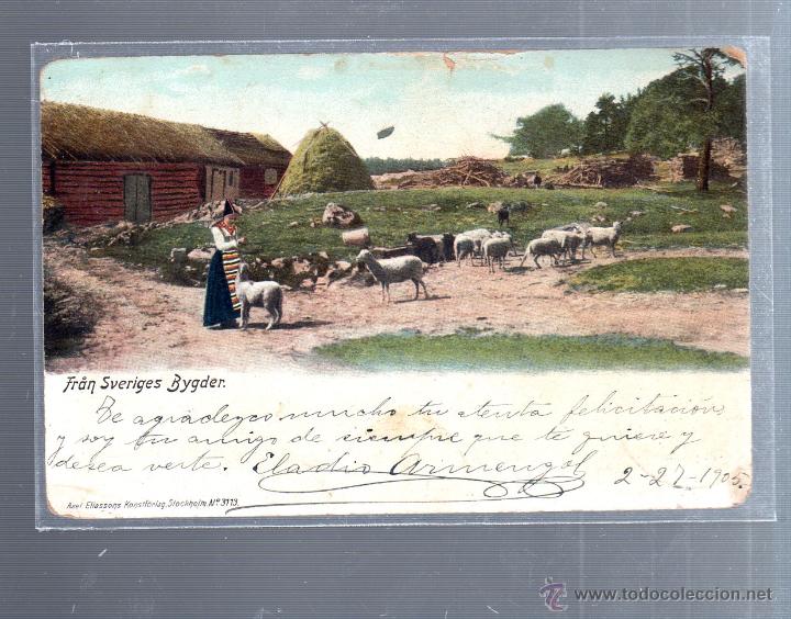 Postkarten: TARJETA POSTAL DE SUECIA - FRAN SVERIGES BYGDER. AXEL ELIASDONS. 3113. DISTRITOS SUECOS