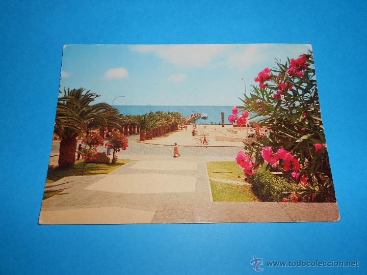 Postales: POSTAL PORTO SANTO ALAMEDA DO INFANTE - SIN CIRCULAR - BERNARDINO V.G. CARVAO