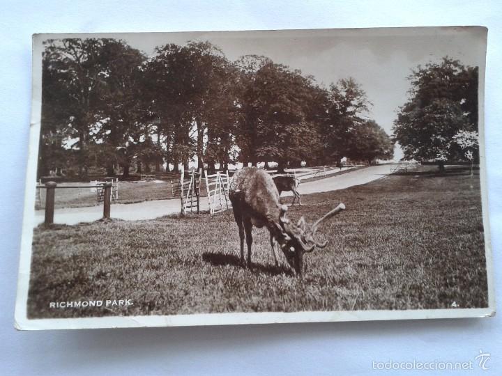 Postales: POSTAL -- RICHMON PARK -- ESCRITA -- - Foto 1