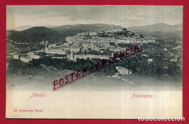 Cartoline: POSTAL AMELIA, ITALIA, PANORAMA, P83904