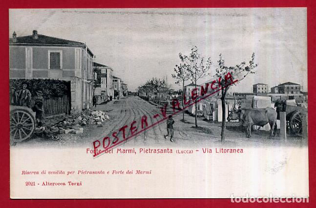 Cartoline: POSTAL FORTE DEI MARMI, PIETRASANTA, ITALIA, VIA LITORANEA, P83956