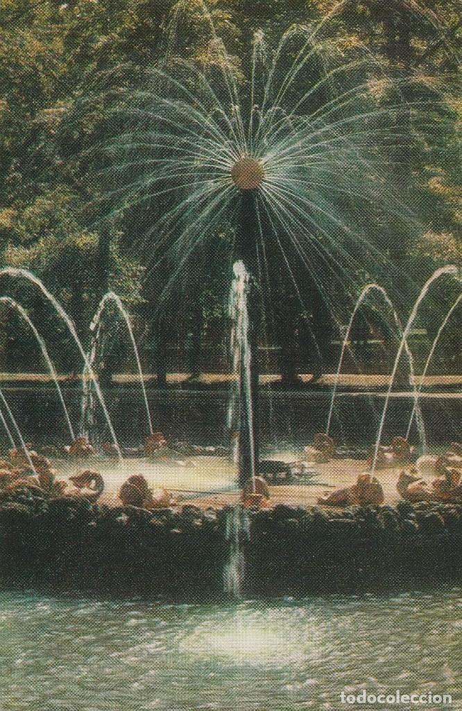 Postcards: N&ordm; 29998 POSTAL PETRODVORETS