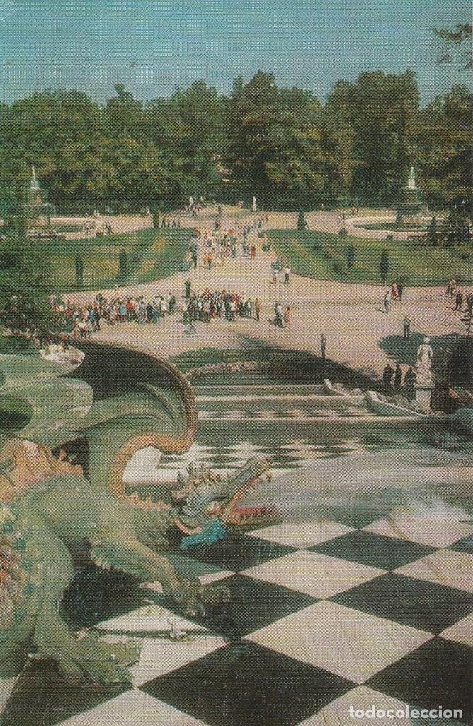 Postcards: N&ordm; 30721 POSTAL RUSIA PETRODVORETS