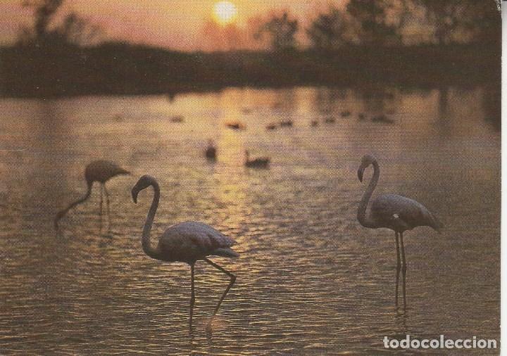 Postcards: N&ordm; 22468 POSTAL GRECIA