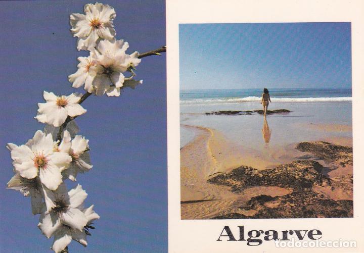 Postales: ALGARVE (PORTUGAL) - SIN ESCRIBIR