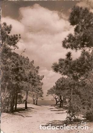 Postales: Francia & Circulado,  le Sauze, Stacion de Ski, Barcelonnette para Gif-sur-Yvette 1956 (779)