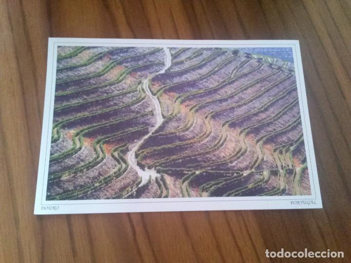 Postkarten: POSTAL. DOURO. PORTUGAL. BUEN ESTADO. SIN USO. RARA