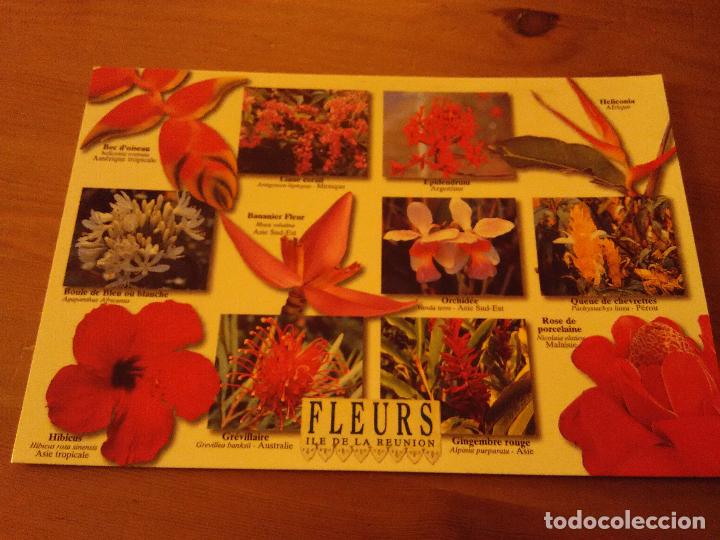 Postal Flores Fleurs Ile De La Reunion Sin Circular