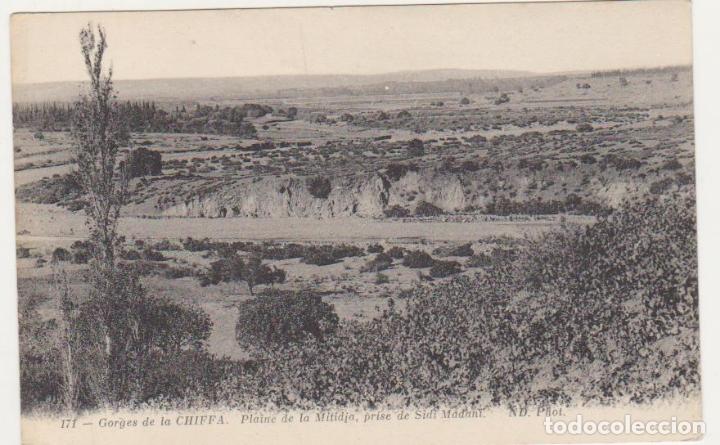 Cartes Postales: Gorges de la Chiffa.