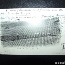 Postales: POSTAL LITOGRAFICA - CAUSSE DE SAUVETERRE LABOUREURS - B. ARNAUD ROQUEFORT SOCIETE 1912 CIRCULADA. Lote 96046403