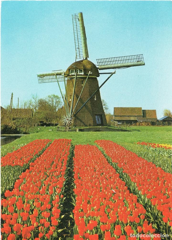 Postais: AMS HOTEL GROEP AMSTERDAM .HOLANDA
