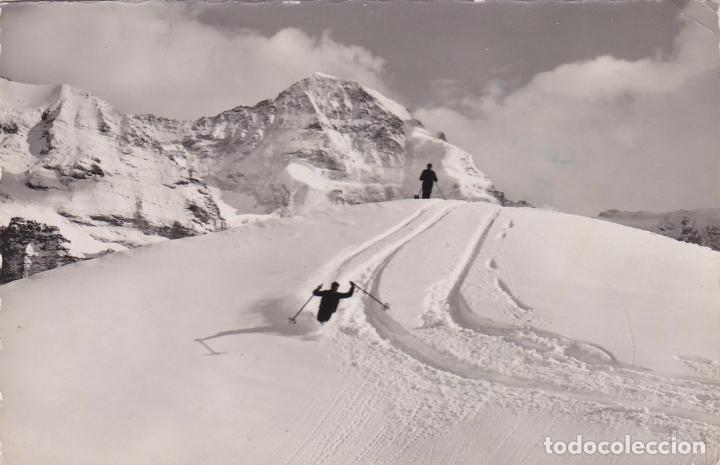 Postales: POSTAL KLEINE SCHEIDEGG, M&Ouml;NCH. SUIZA - ESQUI
