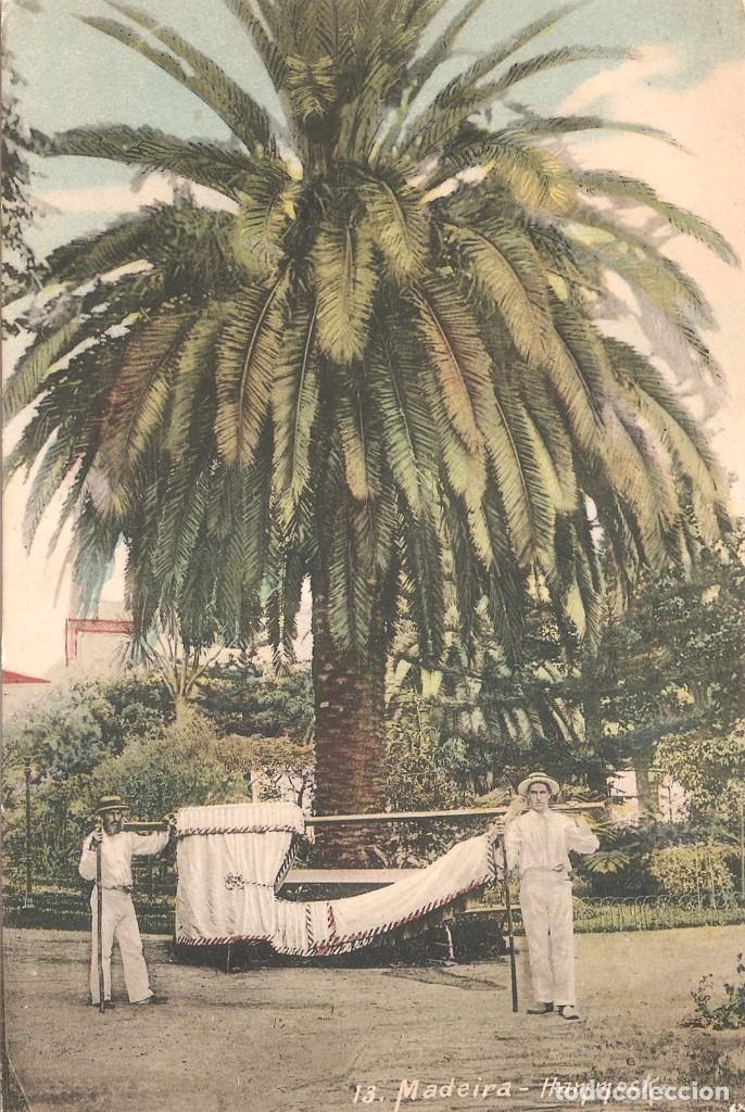 Postales: PORTUGAL MADEIRA HAMMOCK