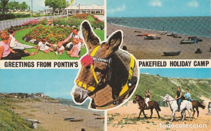 Postais: N&ordm; 4295 POSTAL PONTINS NEW PAKEFIELD SUFFOLK INGLATERRA