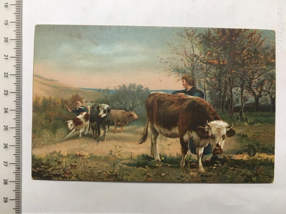 Postales: POSTAL ALEMANA. STENGEL&CO. LEON BARILLOT. COMIENZOS S. XX