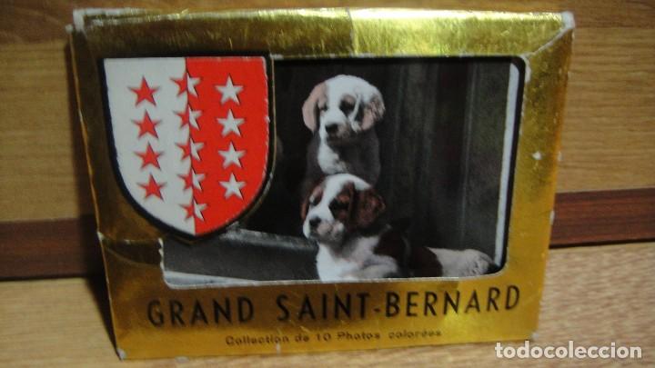 Cartes Postales: hospicio de grand saint bernard - estuche con 10 postales coloreadas