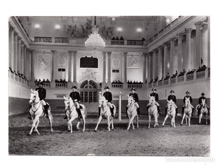 Postales: Viena (Austria) Escuela Espa&ntilde;ola de Equitaci&oacute;n. - Foto 1