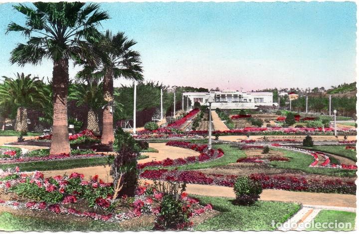Postais: PORTUGAL  PARQUE Y CASINO  DE ESTORIL
