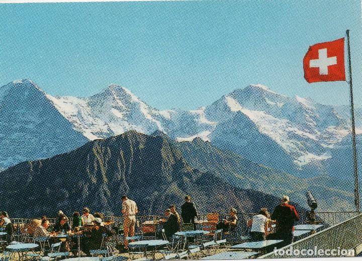 Postais: BERNER OBERLAND  SCHYNIGE  PLATTE  2101 M . SUIZA