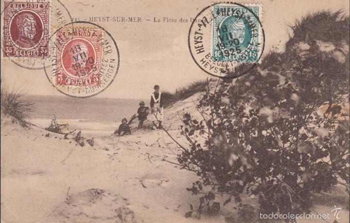 Postkarten: CIRCULADA A ESPA&Ntilde;A EN 1925. HEYST SUR MER. FLORA DE LAS DUNAS.