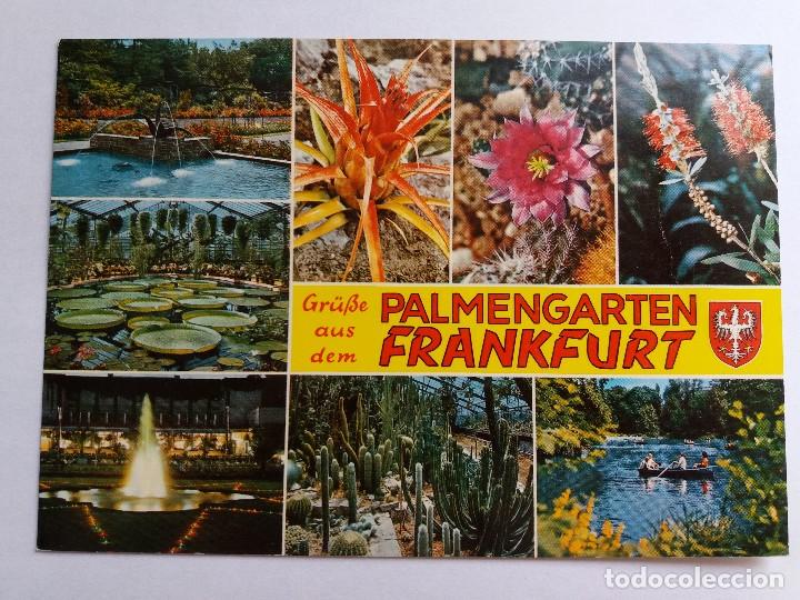 Postal Grube Aus Dem Palmengarten Frankfurt Buy Old