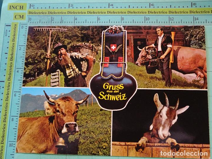 Postales: POSTAL DE SUIZA. PERSONAJES Y ANIMALES T&Iacute;PICOS. 1582