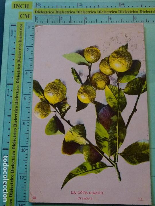 Cartoline: POSTAL DE FRANCIA. A&Ntilde;OS 10 30. COSTA AZUL, LIMONES. 1779
