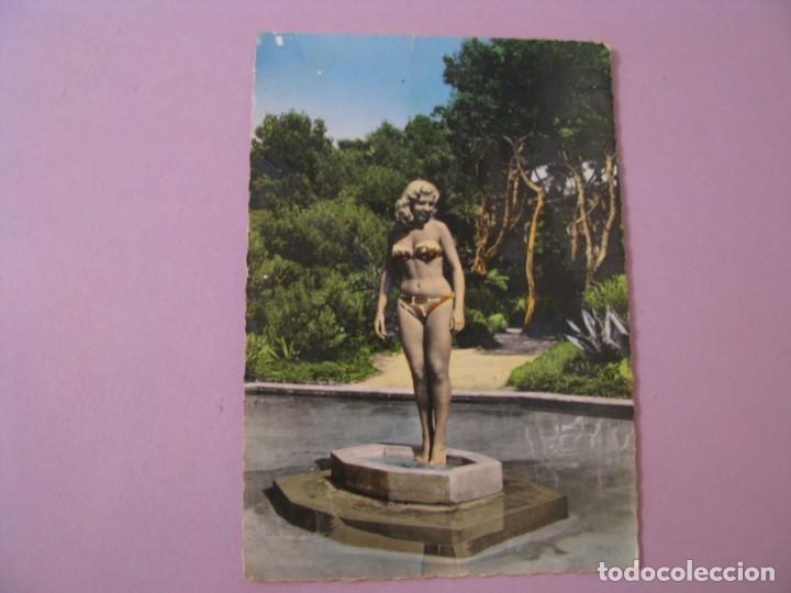 Postales: POSTAL FOTOGR&Aacute;FICA COLOREADA. VEGETATION MEDITERRANEENNE. ED. S.E.P.T. FRANCIA. ESCRITA.