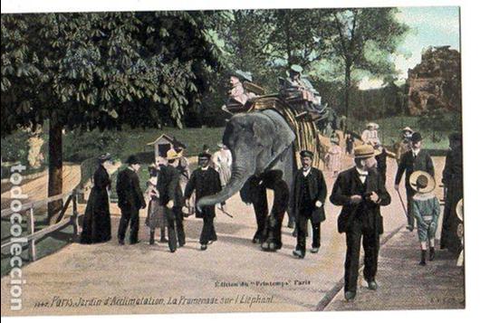 Postales: TARJETA POSTAL DE PARIS. &Eacute;DITION DU PRINTEMS, PARIS.