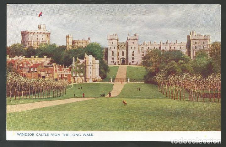 Postales: POSTAL WINDSOR CASTLE FROM THE LONG WALK - GRAN BRETA&Ntilde;A