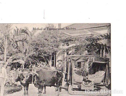 Postales: TARJETA POSTAL DE MADEIRA, PORTUGAL. METHOD OF TRANSPORTATION.