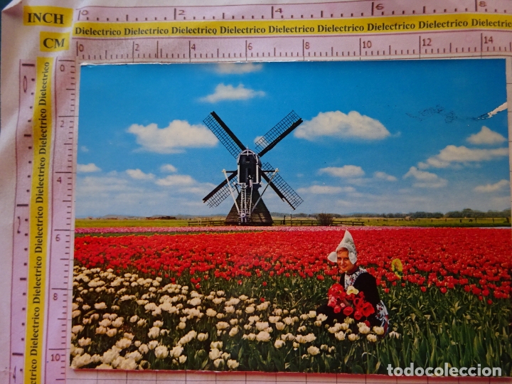 Postkarten: POSTAL DE HOLANDA. TIPISMO MUJER FLORES MOLINO. 247