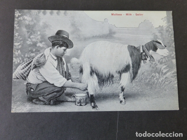 Postales: MALTA VENDEDOR DE LECHE - Foto 1