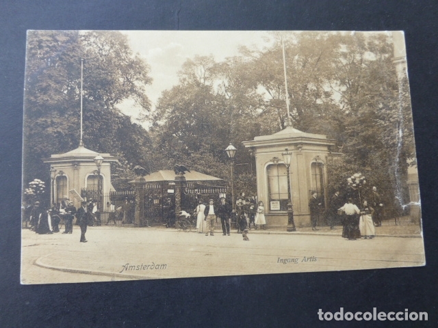 Postales: AMSTERDAM HOLANDA INGANG ARTIS - Foto 1
