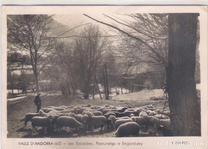 Postkarten: POSTAL DE VALLS D'ANDORRA - LES ESCALDES .