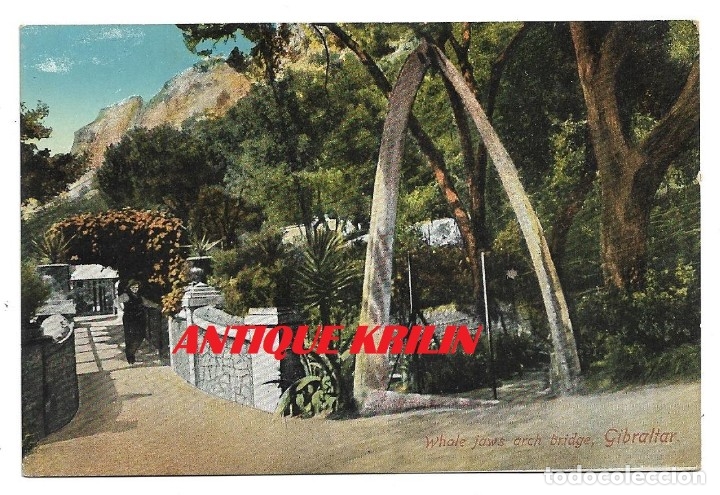 Postales: GIBRALTAR .- WHALE JAWS ARCH BRIDGE - Foto 1