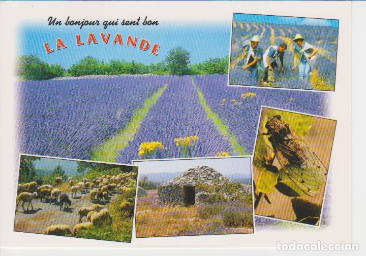LA PROVENZA (FRANCIA). 