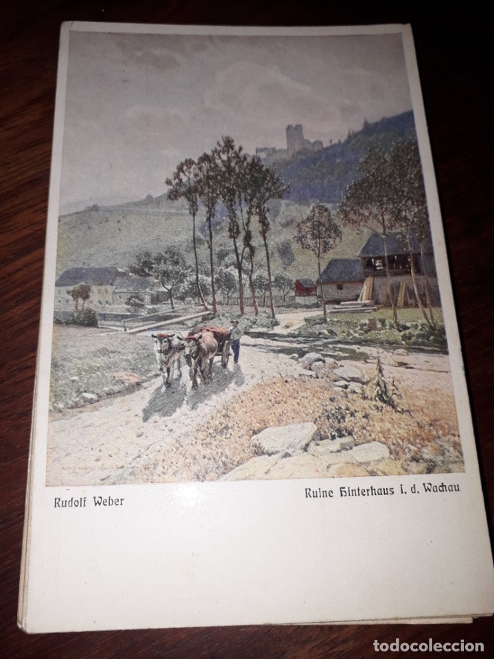 Postkarten: N&ordm; 11461 POSTAL AUSTRIA RUDOLF WEBER RUINE SINTERHAUS WACHAU