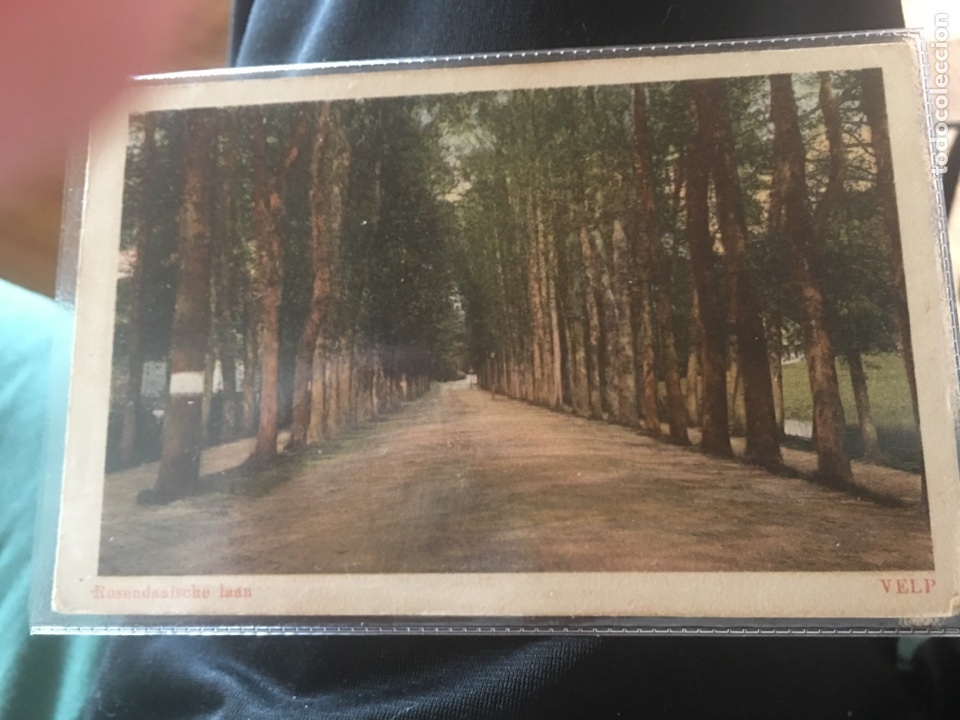 Postcards: Postal paisaje holanda