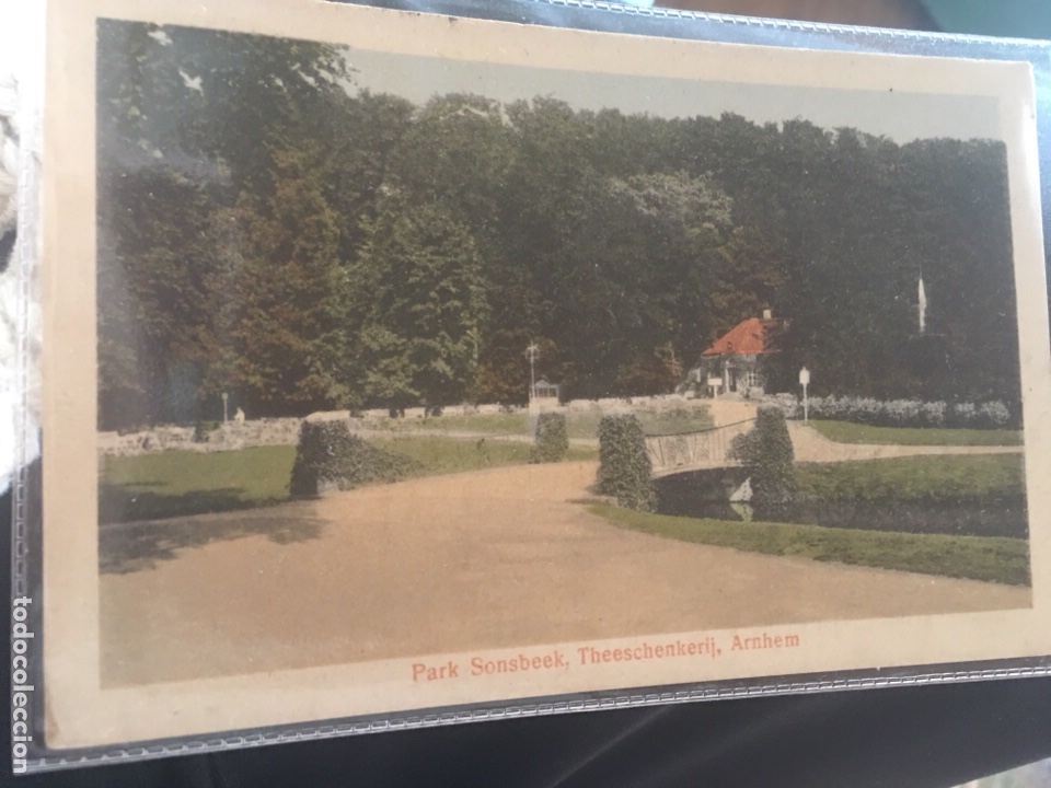 Postcards: Postal parque de arnhem holanda