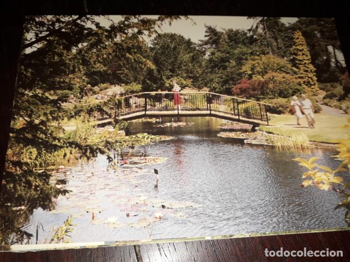 Postkarten: N&ordm; 33793 POSTAL INGLATERRA NATIONAL COLLECTION OF WATER LILIES
